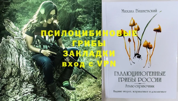 молекула духа Бугульма