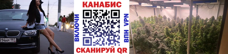 Бошки марихуана семена  Новосибирск 